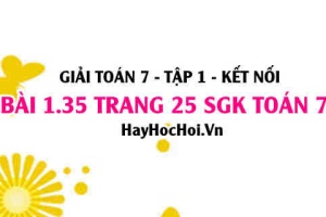 Giải bài 1.35 trang 25 Toán 7 Tập 1 SGK Kết nối tri thức